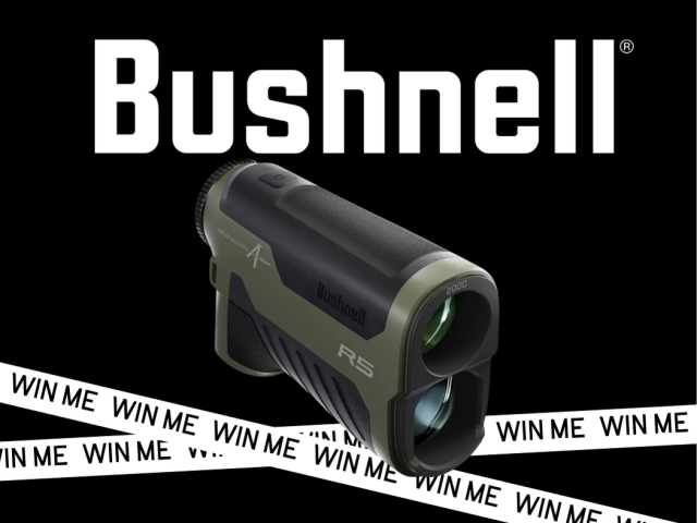 Join NZDA this May and save 17% on your membership.