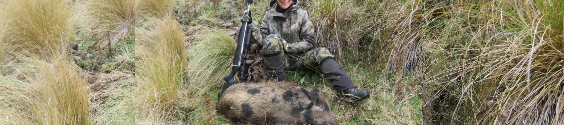 A TALE OF THREE PIGS