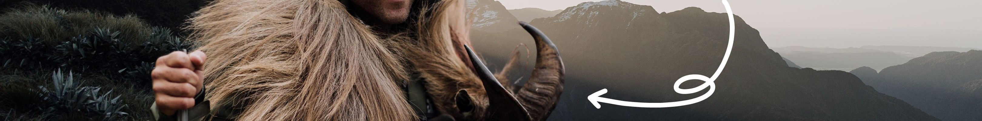 Banner 1 2024 Renewal