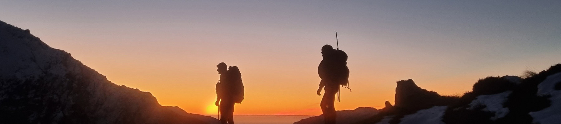 Big Bulls From The Tahr Ballot