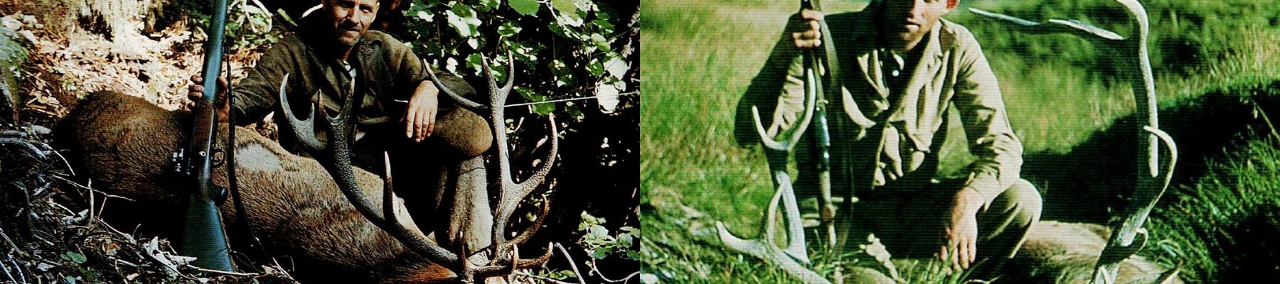 History of the Douglas Score