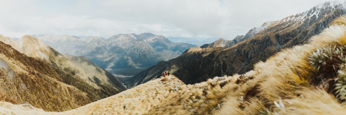 New Member 2025 Website Cover