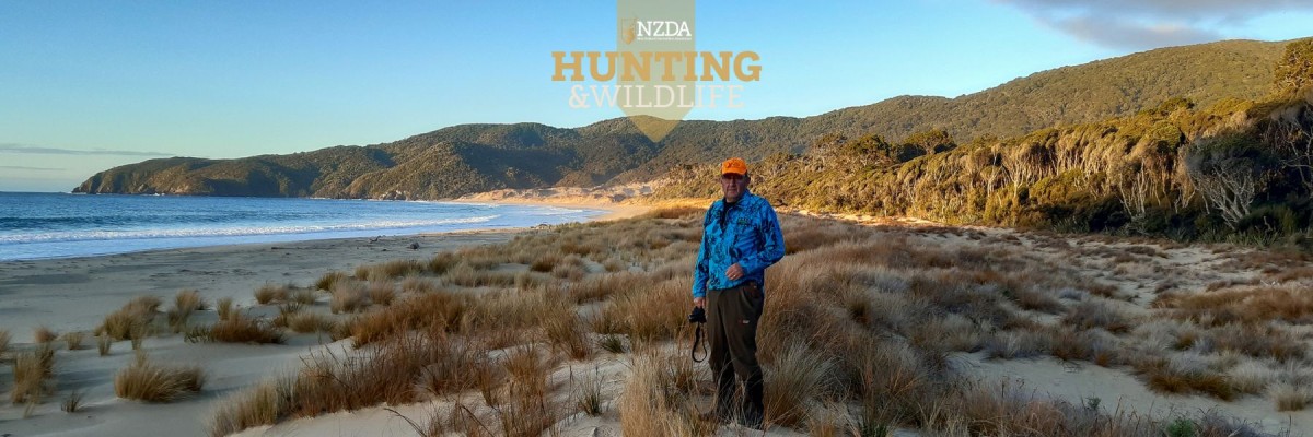 Rakiura Stewart Island  Smoky Beach