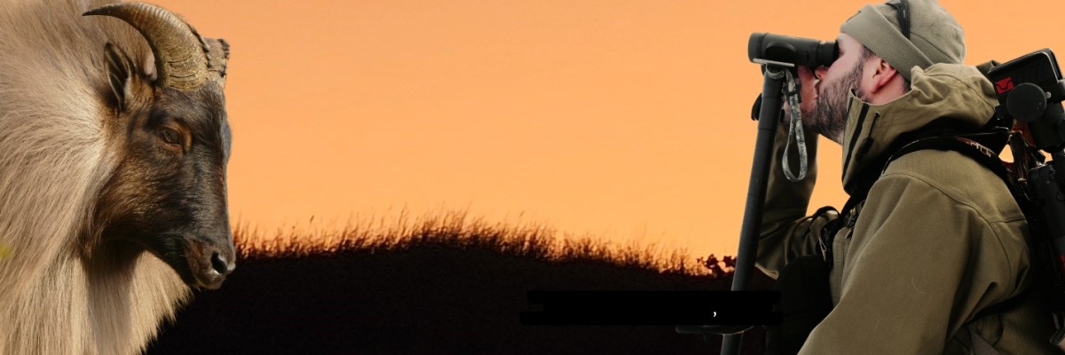 Renewal Website Banner 2025 new size5