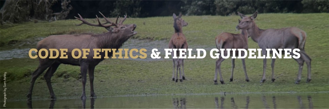 Code of Ethics Homepage(1)